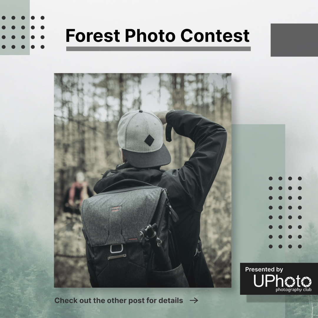 A UPhoto Club photo Forest photo Contest Instagram post (Title post).